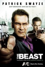 Watch The Beast Megashare8